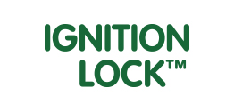 Blocco Centralina Auto Ignition Lock